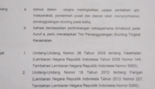 SK Camat Tim Pelaksana Penanggulangan stunting Lendah.jpg